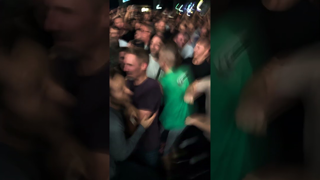 Munich LOVES The Hives! Chaotic concert, great crowd @thehivestv