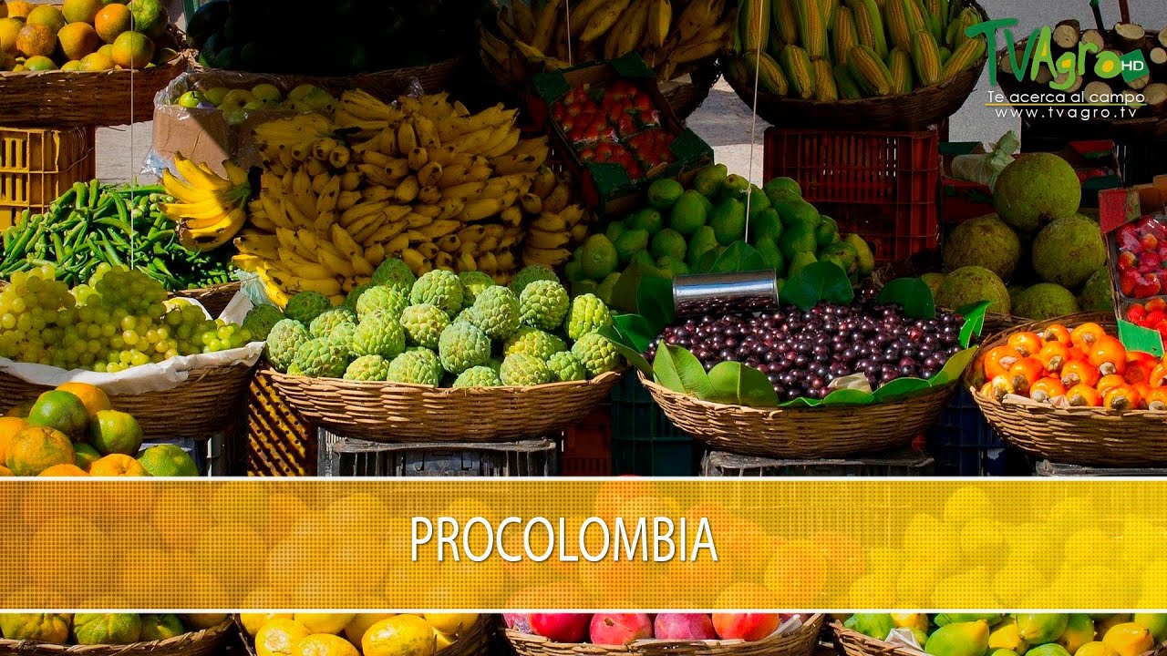 Procolombia- TvAgro por Juan Gonzalo Angel Restrepo
