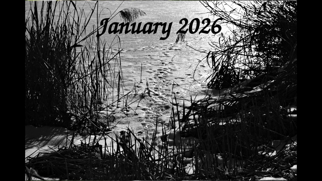 January 2026