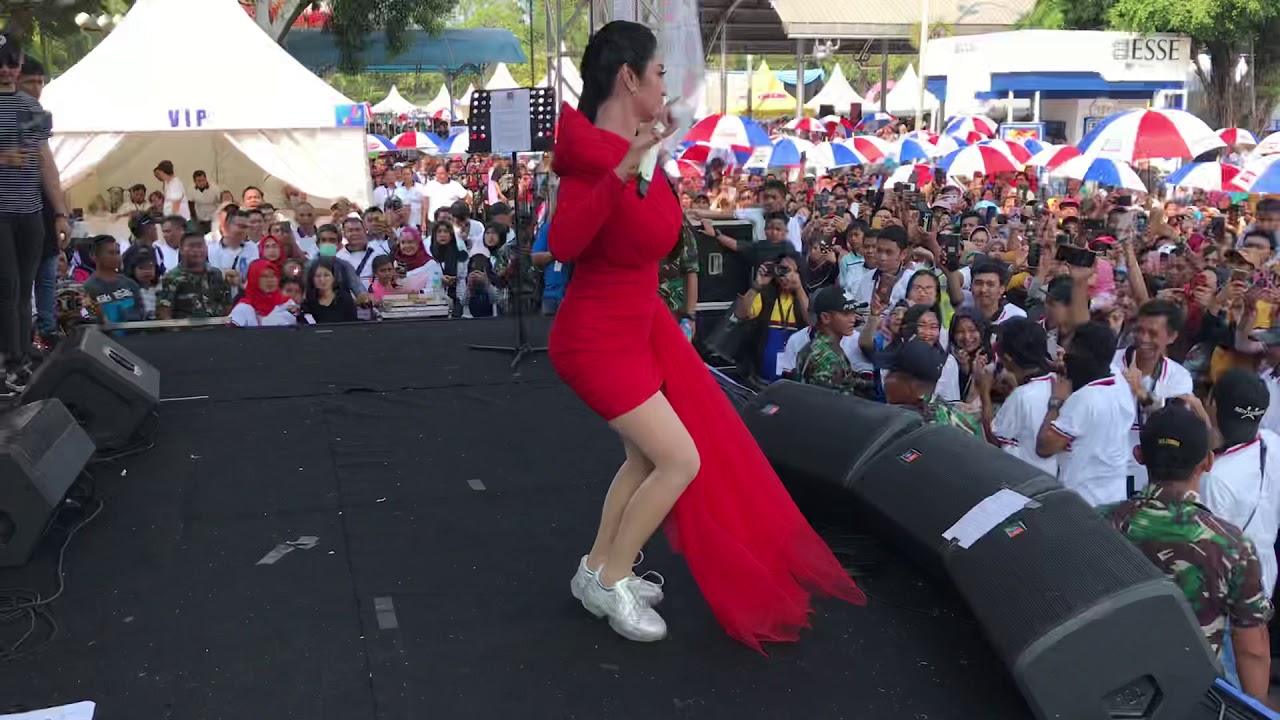 Dewi perssik - geboy mujaer