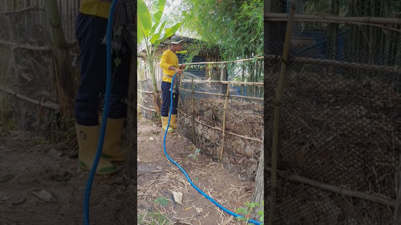 ปุ๋ยหมักใบไม้แห้งแบบง่าย 