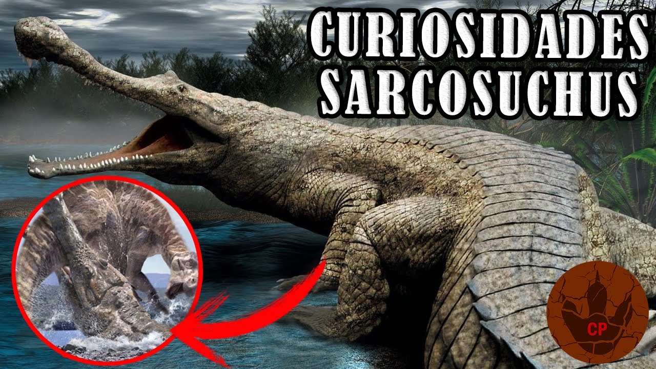 CURIOSIDADES DEL SARCOSUCHUS