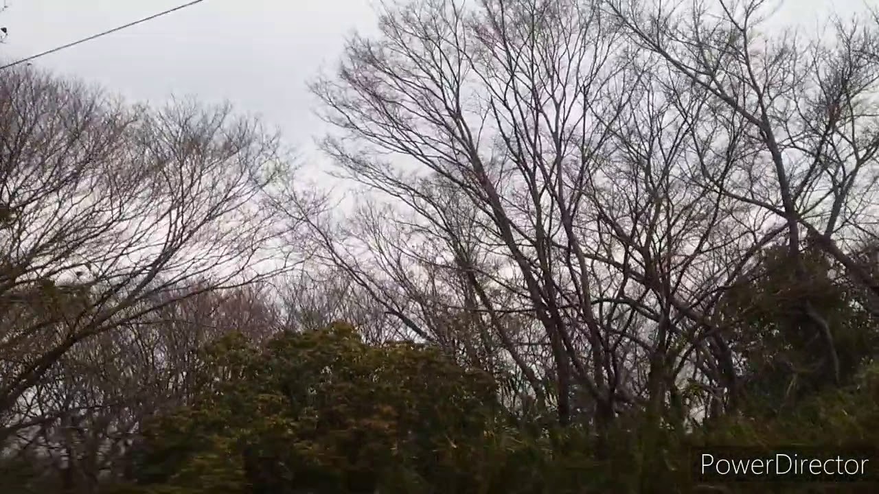heading for Hozanji temple  on Mountain Ikoma in Ikoma  city,Nara,Japan 7th of February,2021　生駒市 宝山寺