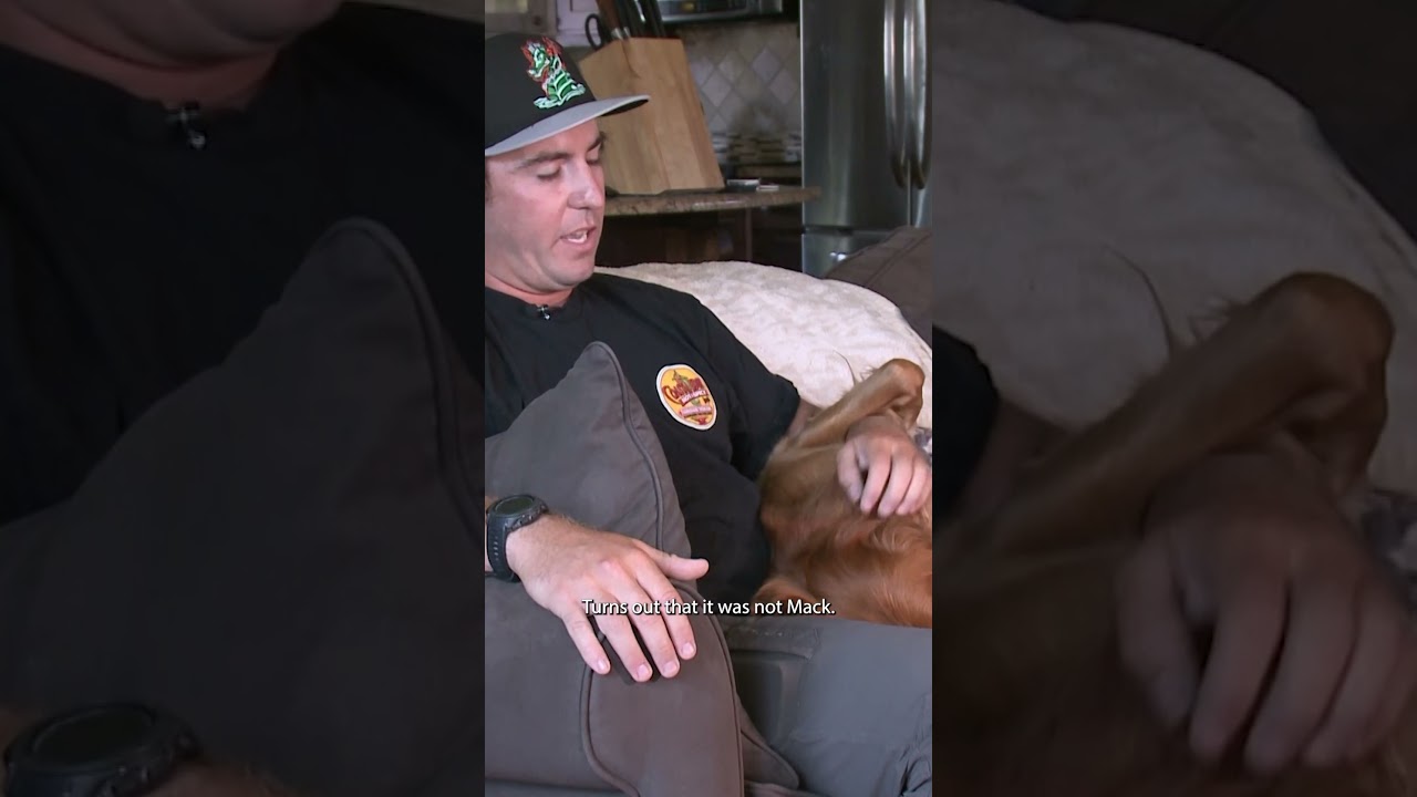 Man warning others after social media dog scam