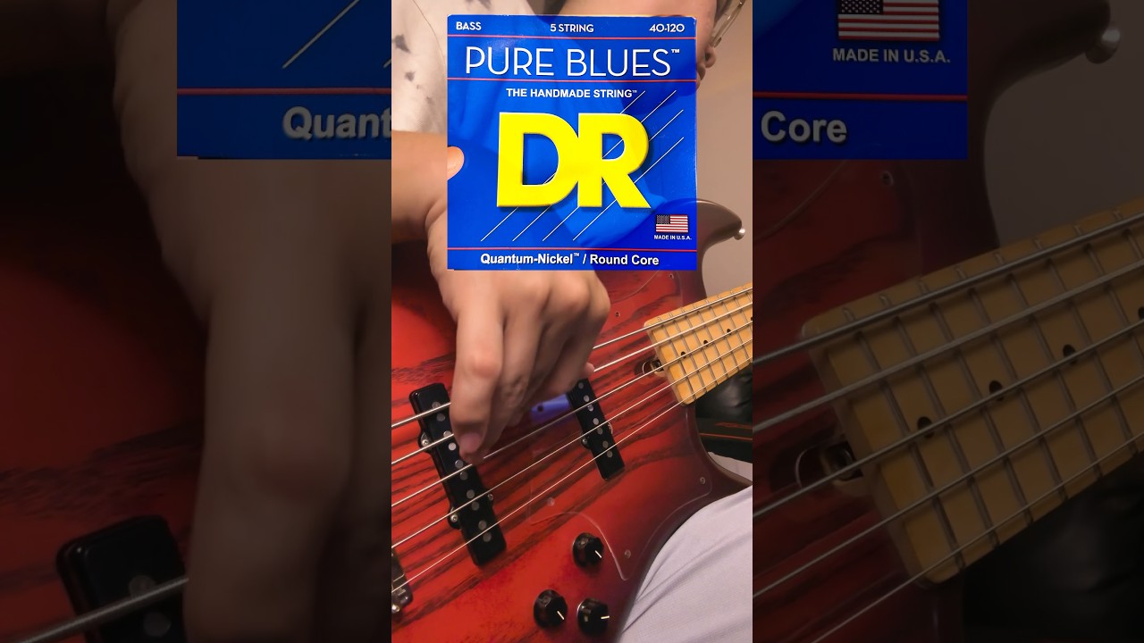 DR Pure Blues newly installed! 🔥✨ #fbass  #DrStrings #SlapBass #bass