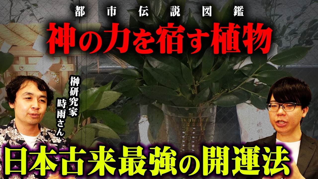 邪気を吸う神が宿る神聖な植物がヤバすぎる。【 都市伝説図鑑 ゲスト : 榊研究家 時雨さん 】