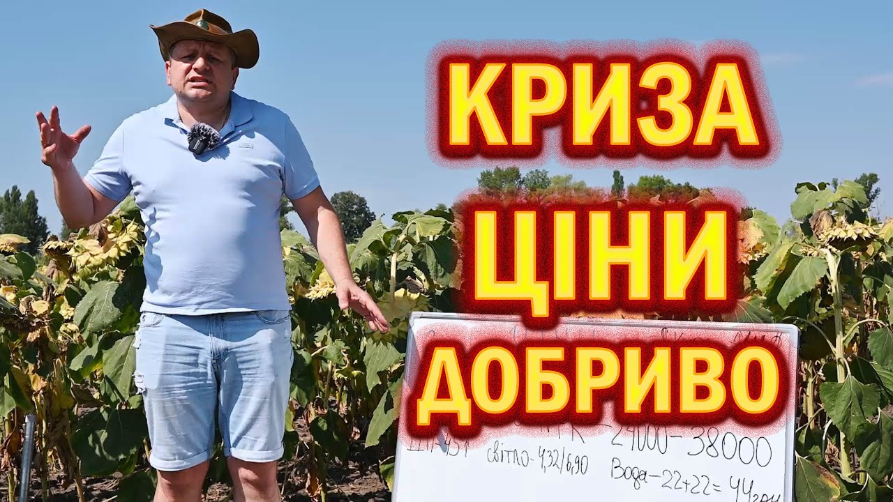 ЩО БУДЕ З ЦІНАМИ 🤔 ЧИ ВАРТО ВНОСИТИ ДОБРИВО В СПЕКУ NPK мінеральне та органіку органофоска ?