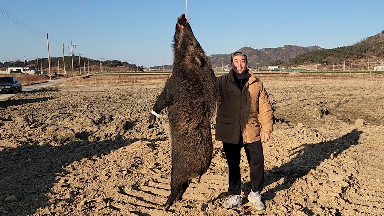 정말 긴박했습니다..!! 절벽에서 만난 초대형 멧돼지를 잡아보자!