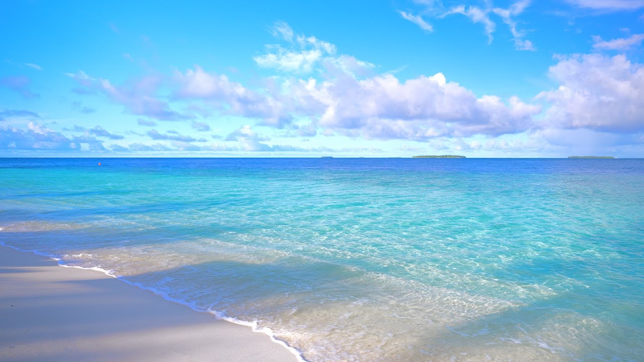🏝 Paradise Found: Wild Beach and Crystal Ocean Waters. Relaxing Ocean video 4K Ultra HD