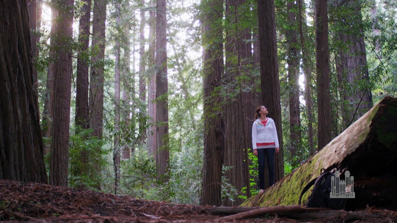 National Parks Special (June 24, 2018) - Music & The Spoken Word