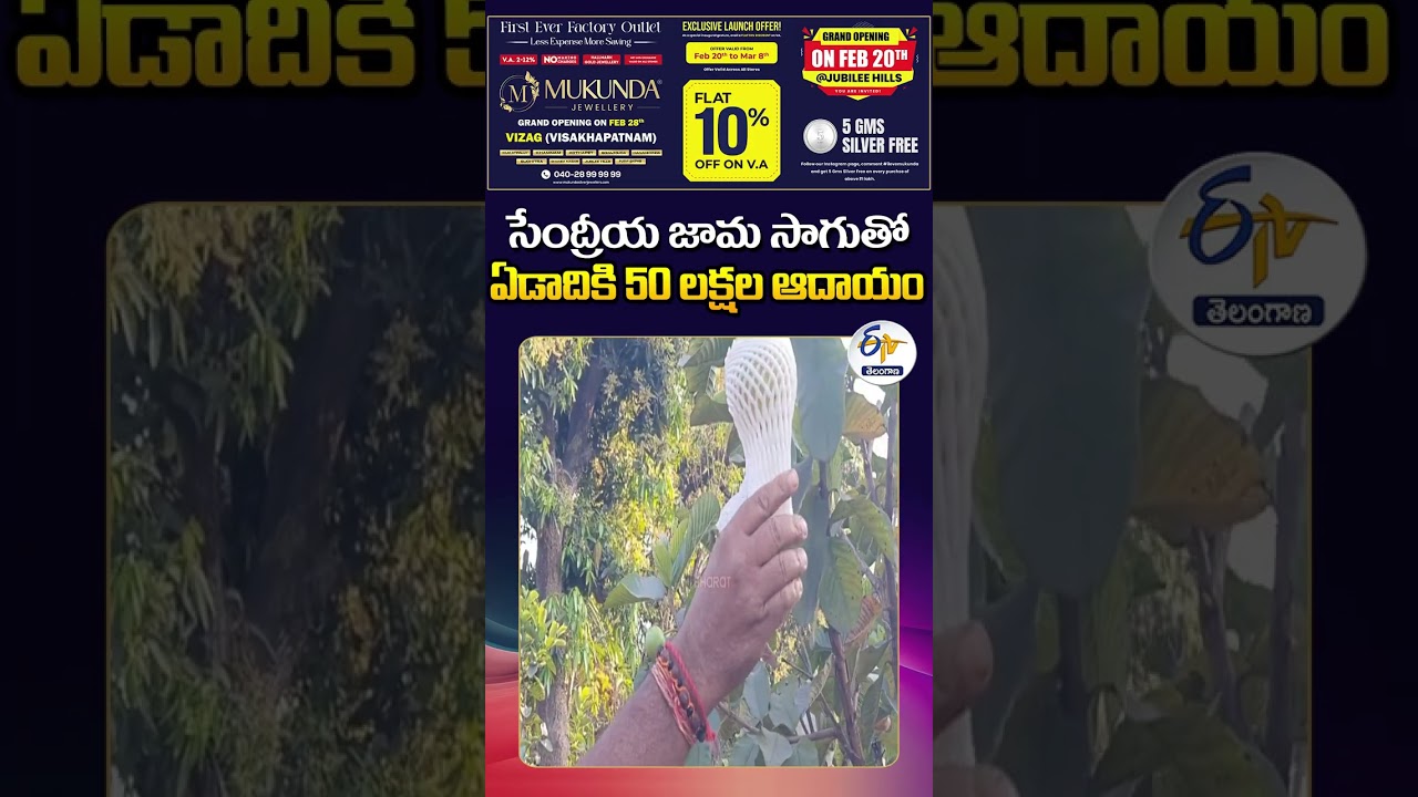 Odisha Farmer Earns ₹50 Lakh/Year from Organic Guava Farming in Odisha