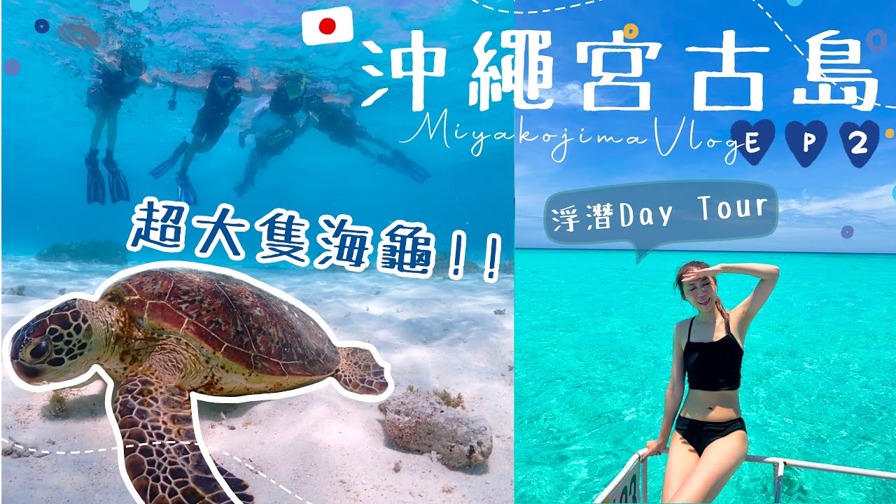 【沖繩自駕vlog EP2♡】宮古島浮潛Day Tour🤿 清澈得見底的海水+超近距離看到大海龜🐢 媲美馬爾代夫的大海藍色💙 夜遊星星Tour✨ AYANNA KAYAN