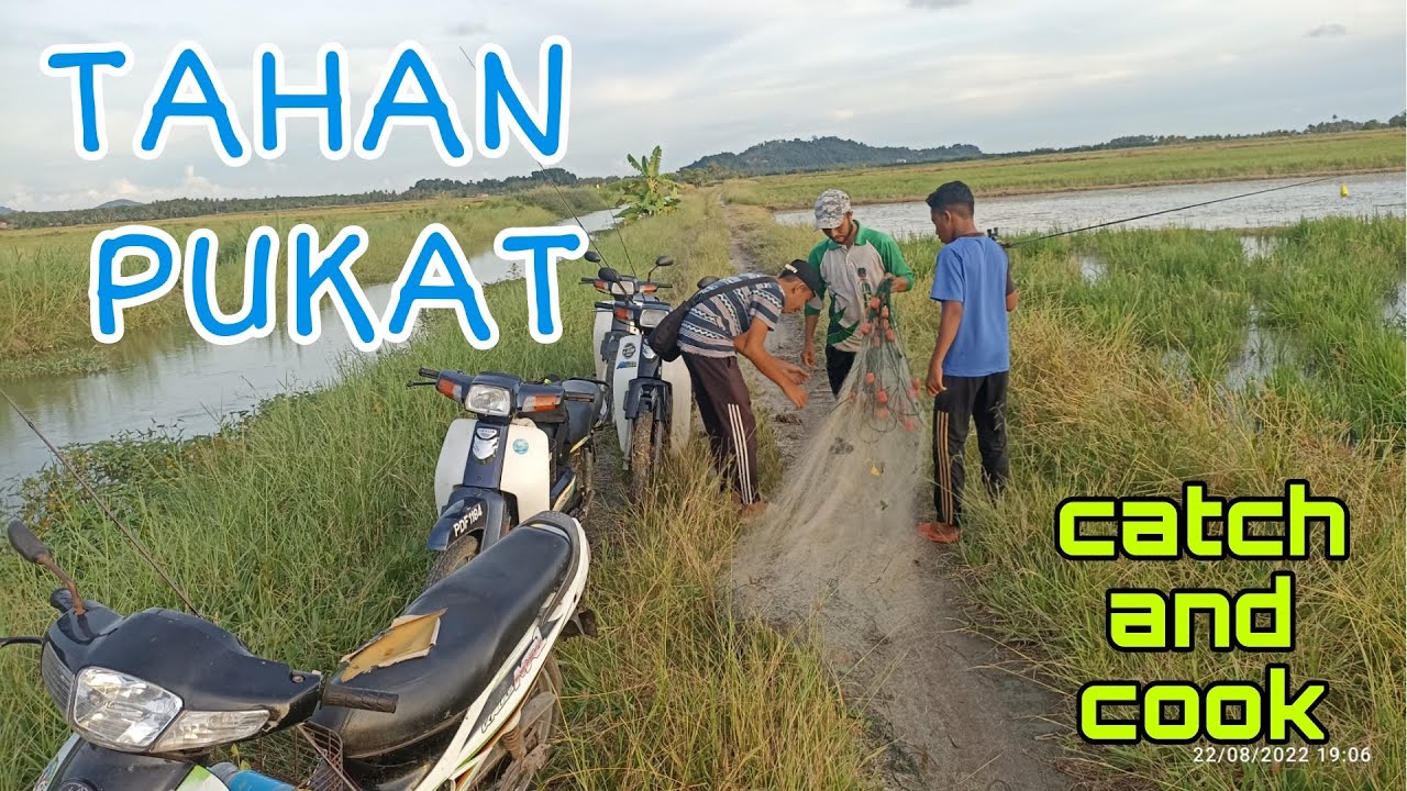 #EP637 Cari Lauk di Kampung - tahan pukat ikan darat