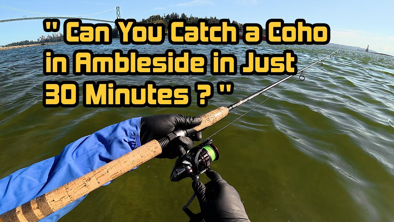Can you catch a coho in Ambleside in just 30 minutes?