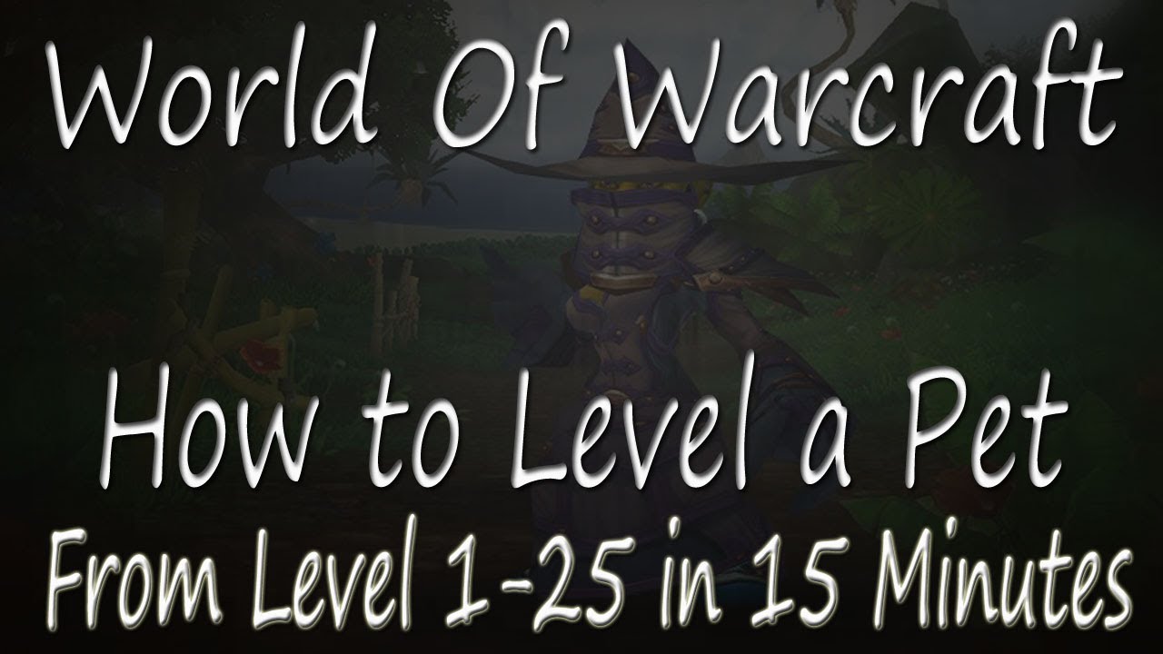 Power Level a Pet from 1 - 25 in 15 Minutes (plus travel time) - WoW - Pet Battles