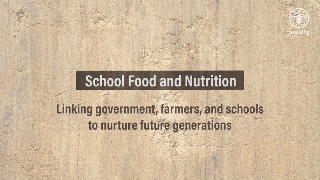 FAO School Food and Nutrition Video Explainer