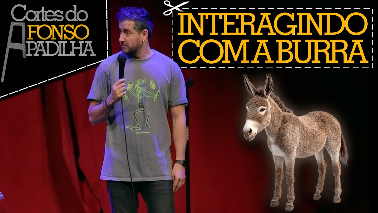 A RESPOSTA MAIS BURRA DA HISTÓRIA - Cortes do Afonso Padilha