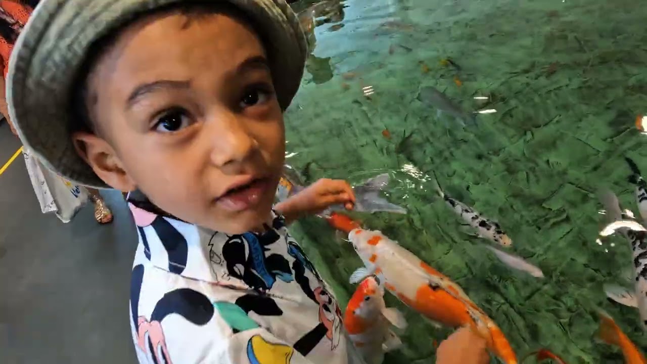 Passeio no Aquário de Barcelona com o Benjamin 