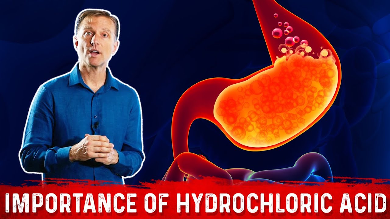 The Importance of Hydrochloric acid (HCL) in the Stomach &ndash; Dr. Berg