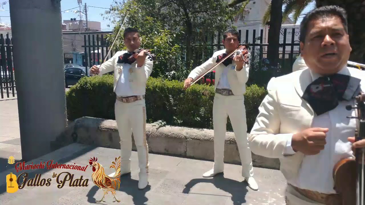 A Mi Manera - Mariachi Internacional Gallos De Plata🐔