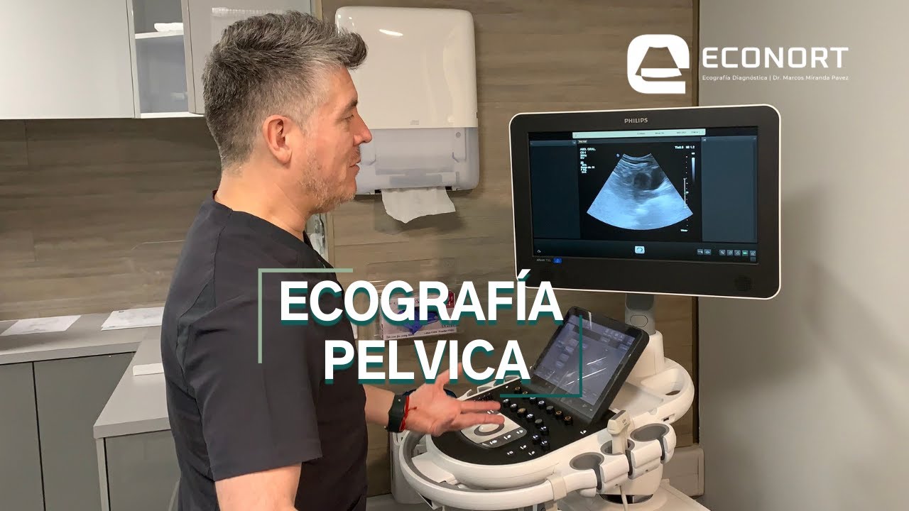 Ecografía Pélvica en Antofagasta - ECONORT