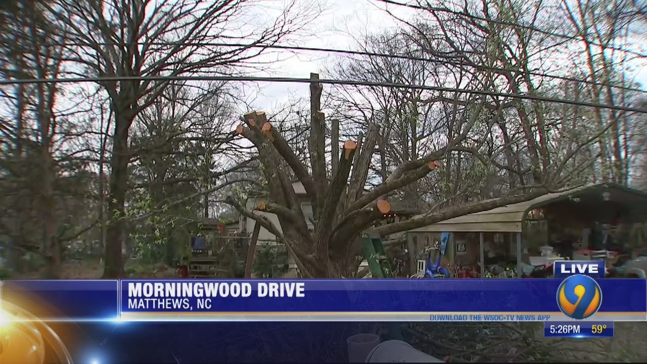 Man trimming trees in Matthews shocked when limb falls on power lines