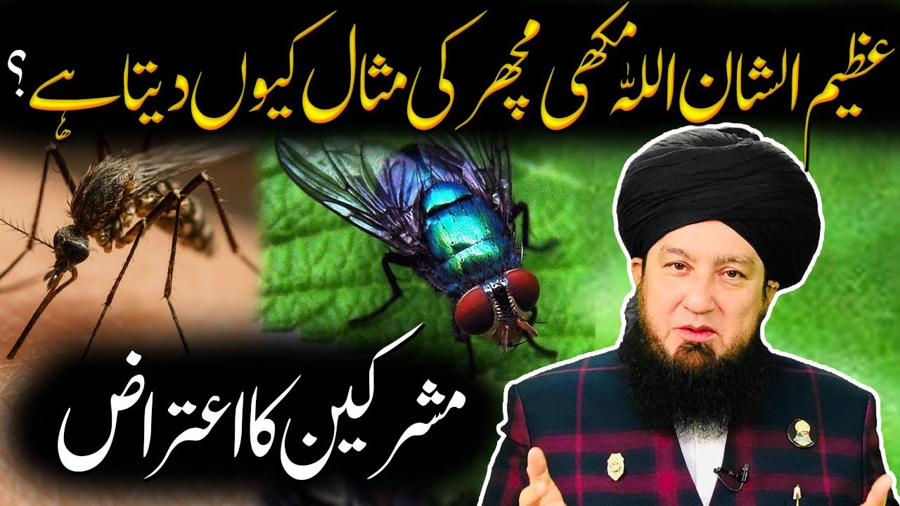 Azeem-ush-shan Allah Makhi Machhar ki Misaal Kyun Deta Hai? | Mushrikeen Ka Aitraaz | Mufti Muneer