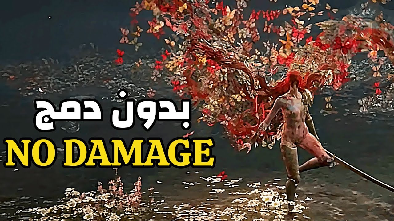 الدن رنق مالينيا بدون دمج - ELDEN RING ｜ Malenia Blade of Miquella boss fight [ No Hit ]