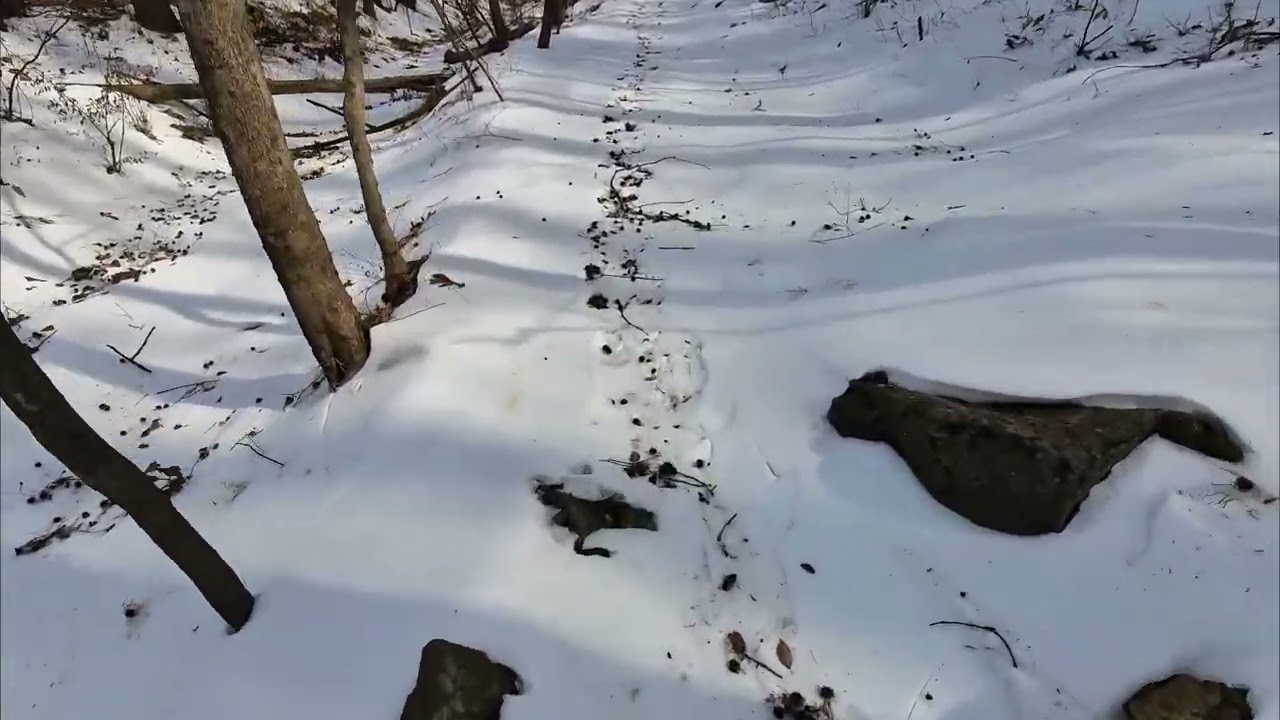 River Trails - 3 Mile Shakeout Run