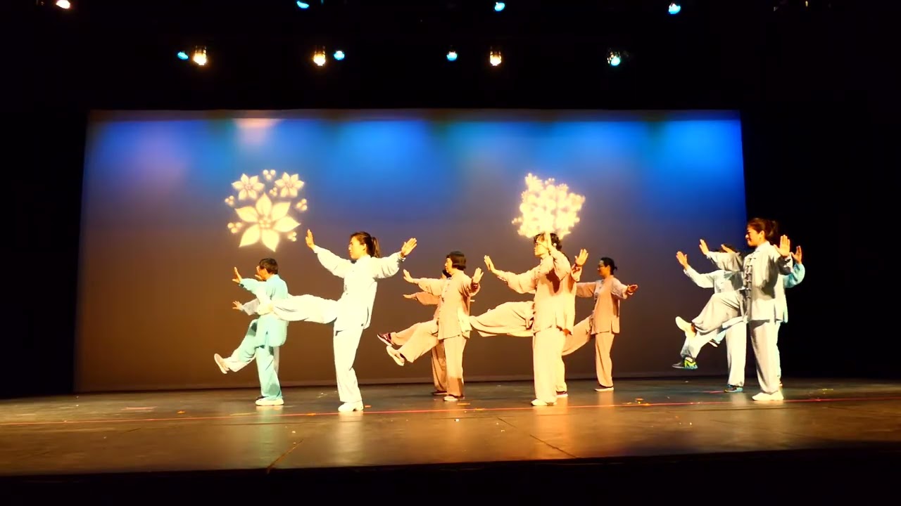 42 式太级拳 42 forms Tai Chi Boxing