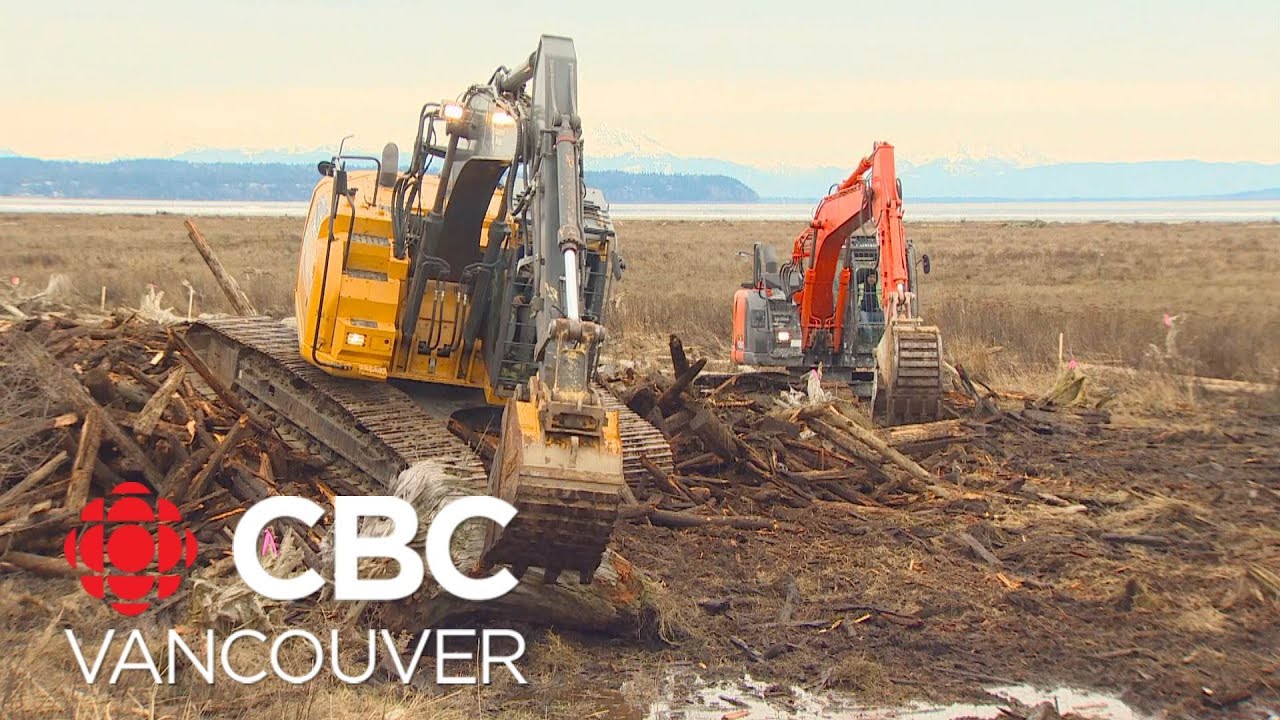 Restoring Boundary Bay's tidal marsh