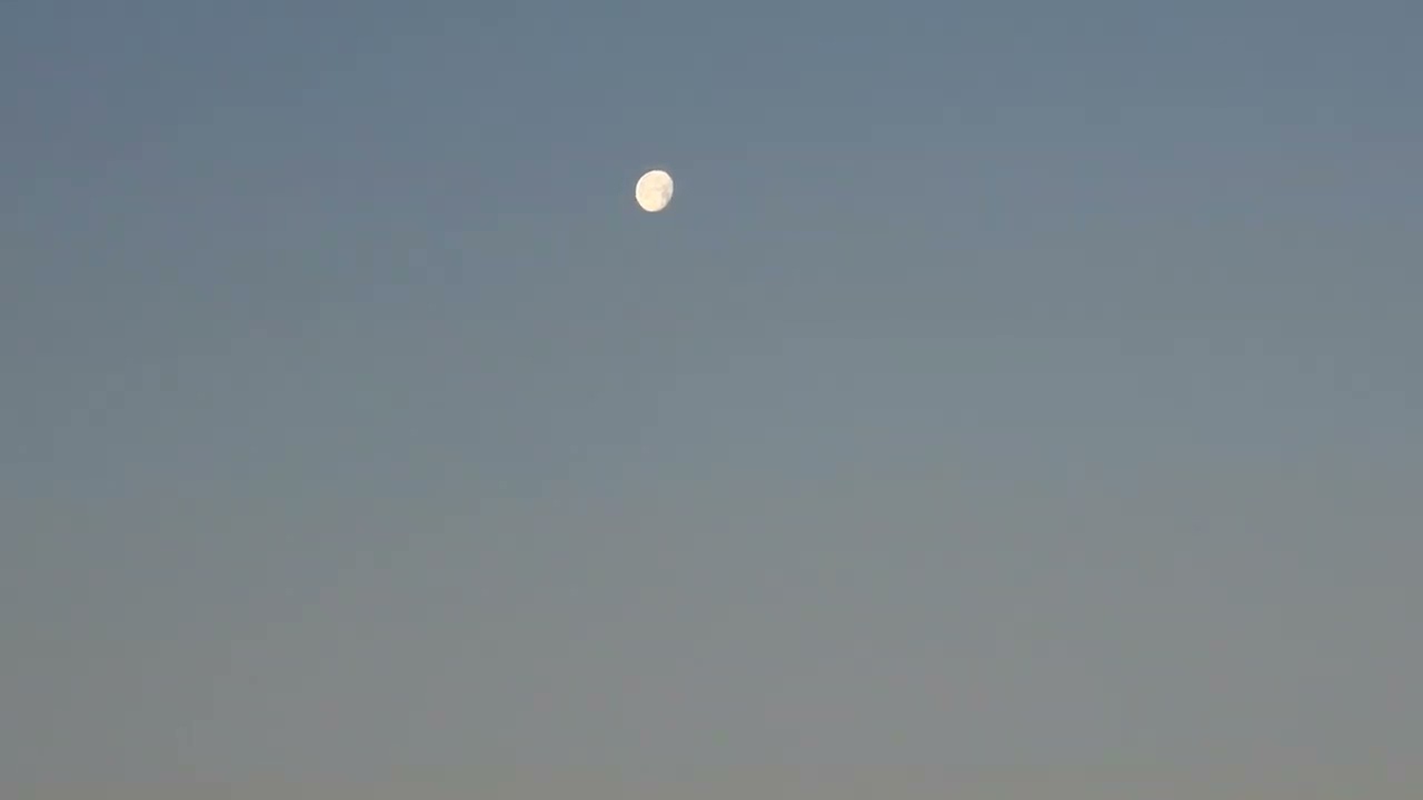 Hoy es Un Dia Comun !