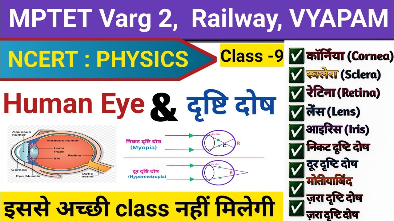 Human Eye ( मानव नेत्र) l दृष्टि दोष  l Structure of Human Eye l For MPTET Varg 2, Vyapam, Railway।