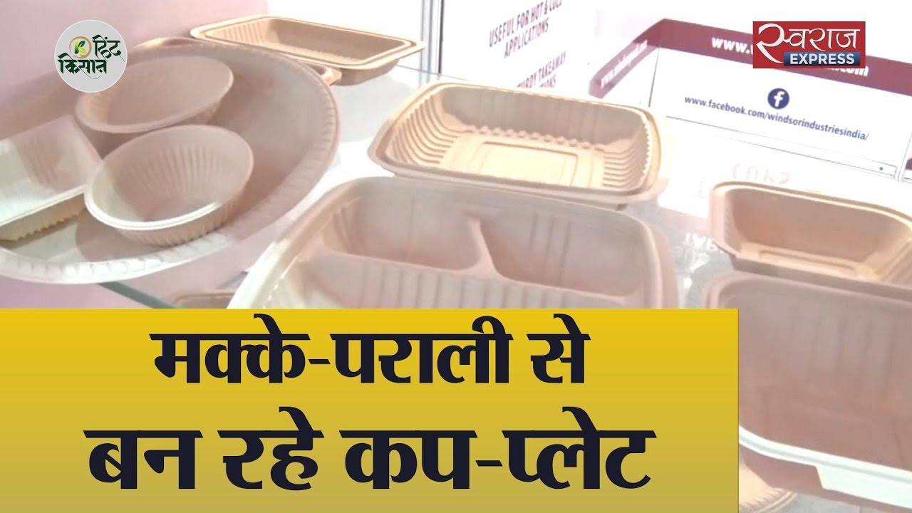 मक्के-पराली से बने कप-प्लेट
