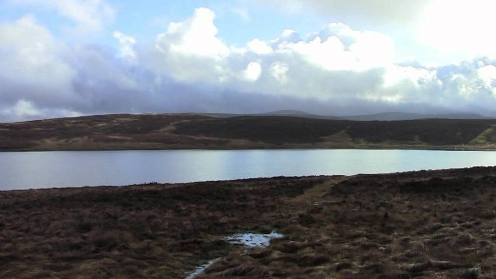 Mynyddoedd Cambria / Cambrian mountains