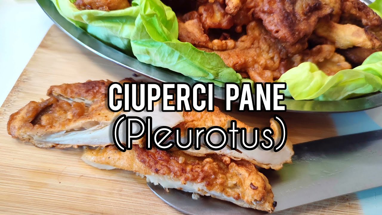 CIUPERCI Pane ( ciuperci Pleurotus)