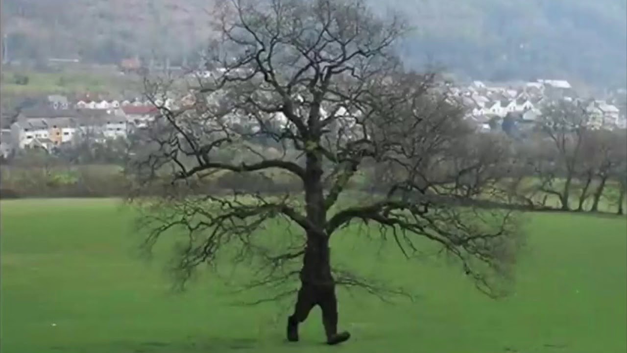 walking woods boss theme