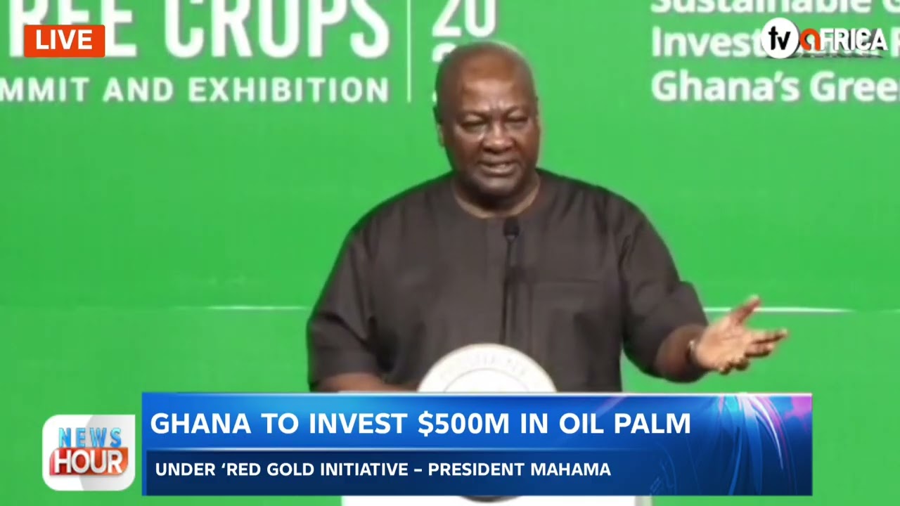 Ghana to invest $500m in oil palm under ‘red gold initiative – President Mahama