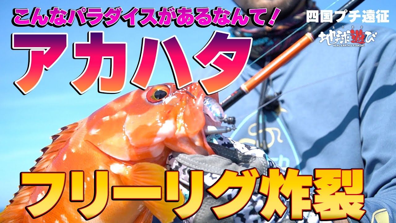 【釣れ過ぎ】高級魚乱舞！入れ食い祭！【地球遊び 239】