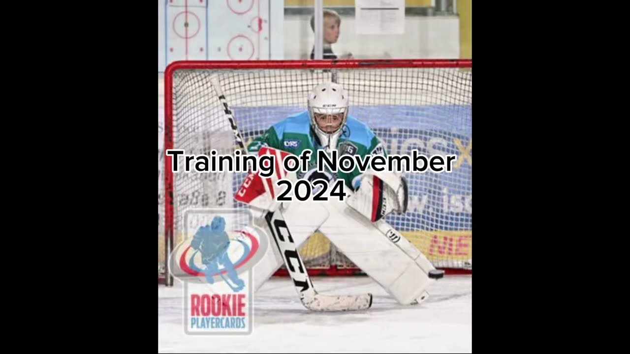 Training of the 22-26 November 2024