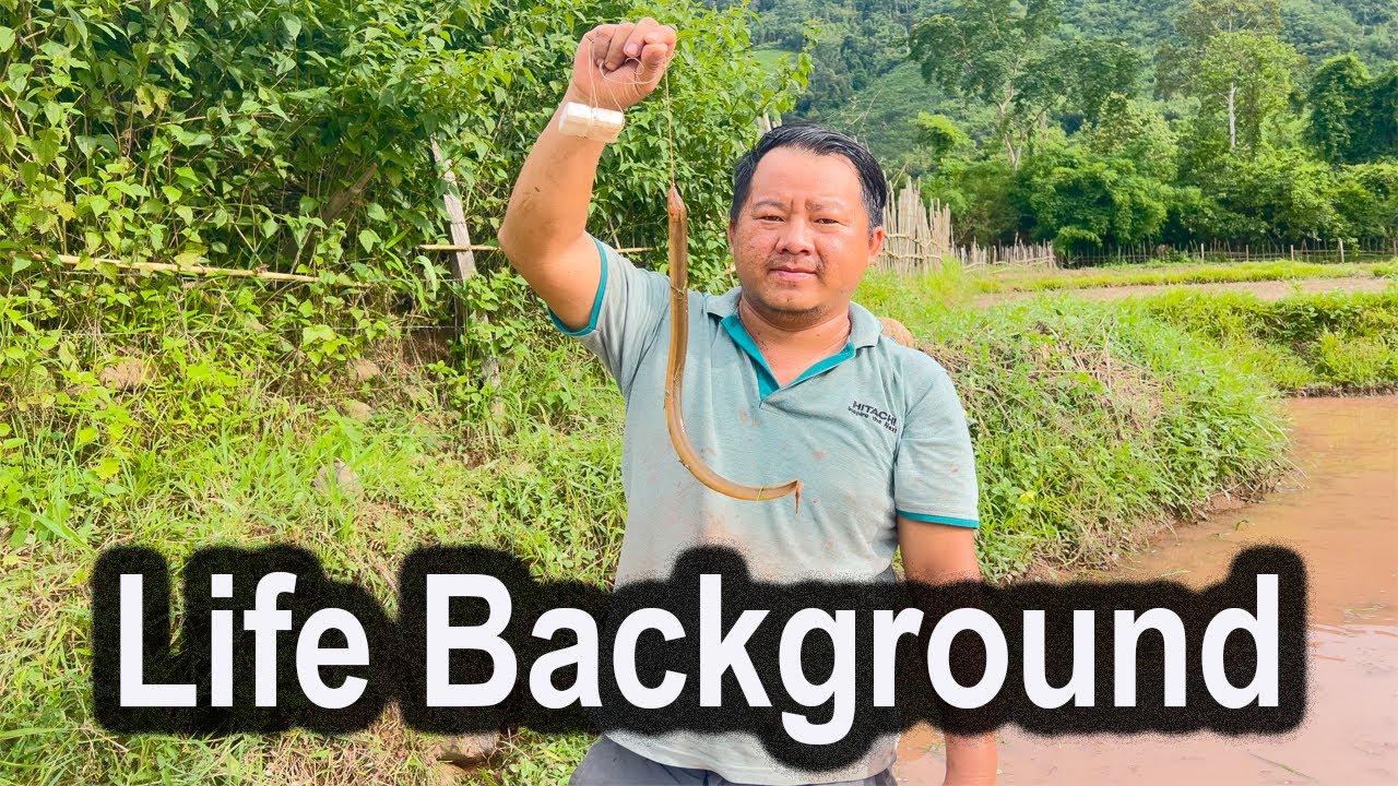 The Plantation season with Lao jungle secret