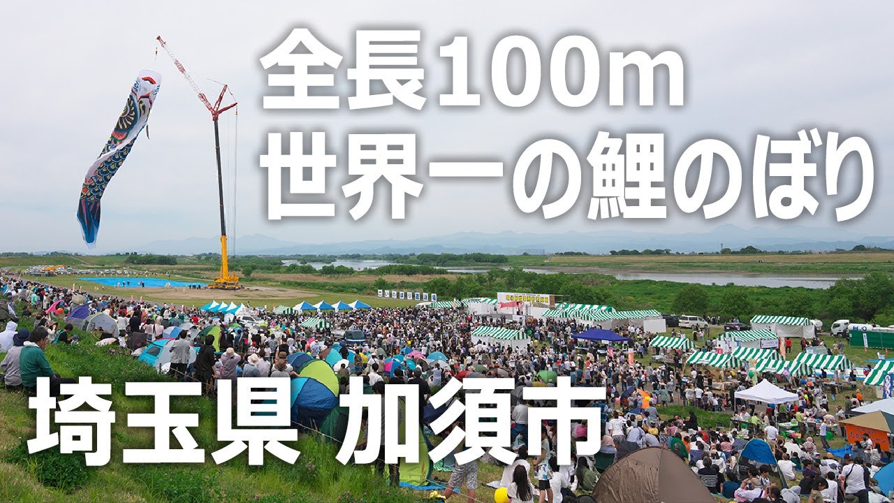 世界最大!! 全長100メートルの鯉のぼりの遊泳｜埼玉県加須市｜第14回加須市民平和祭