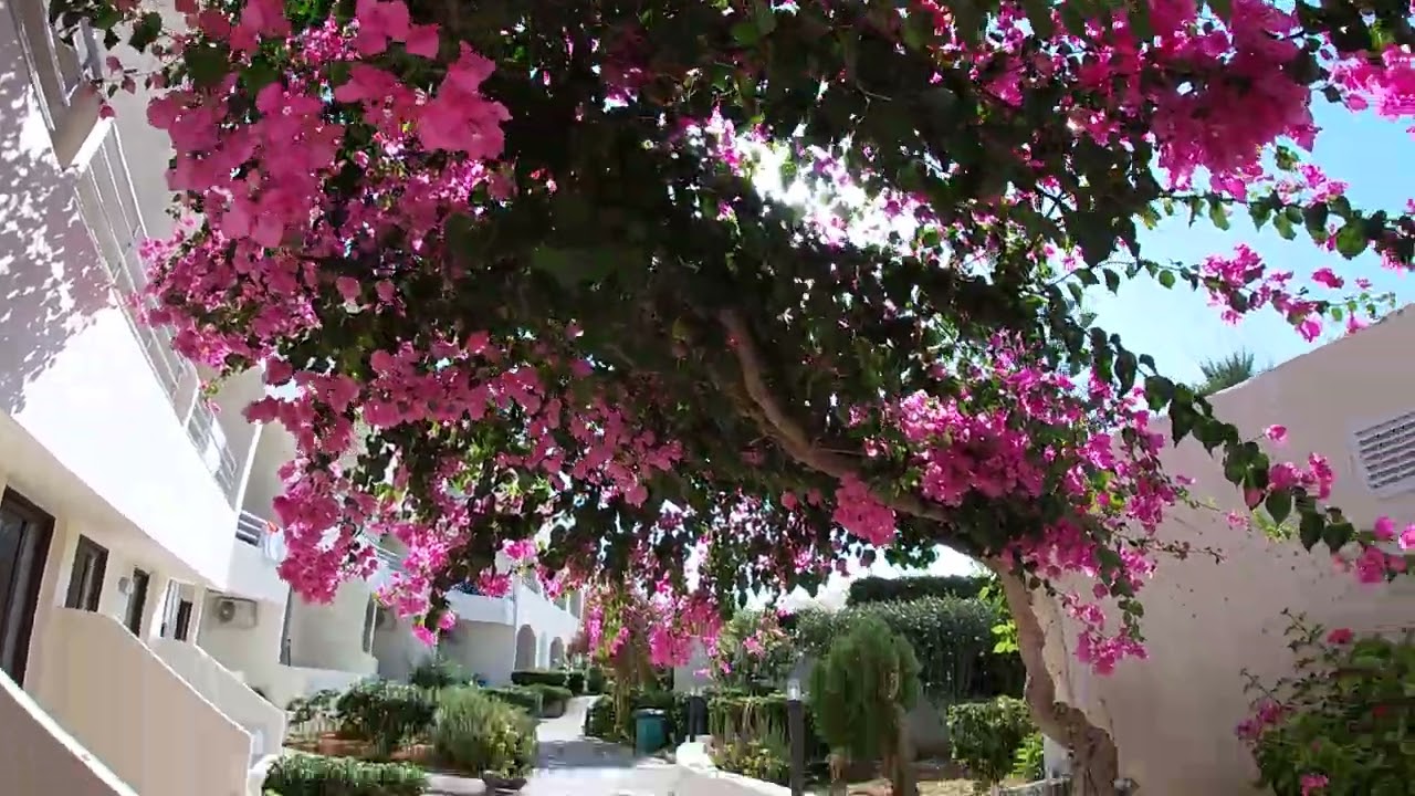 Hotel Azul Eco Noho w Skaleta_Kreta zachodnia. 08.2024