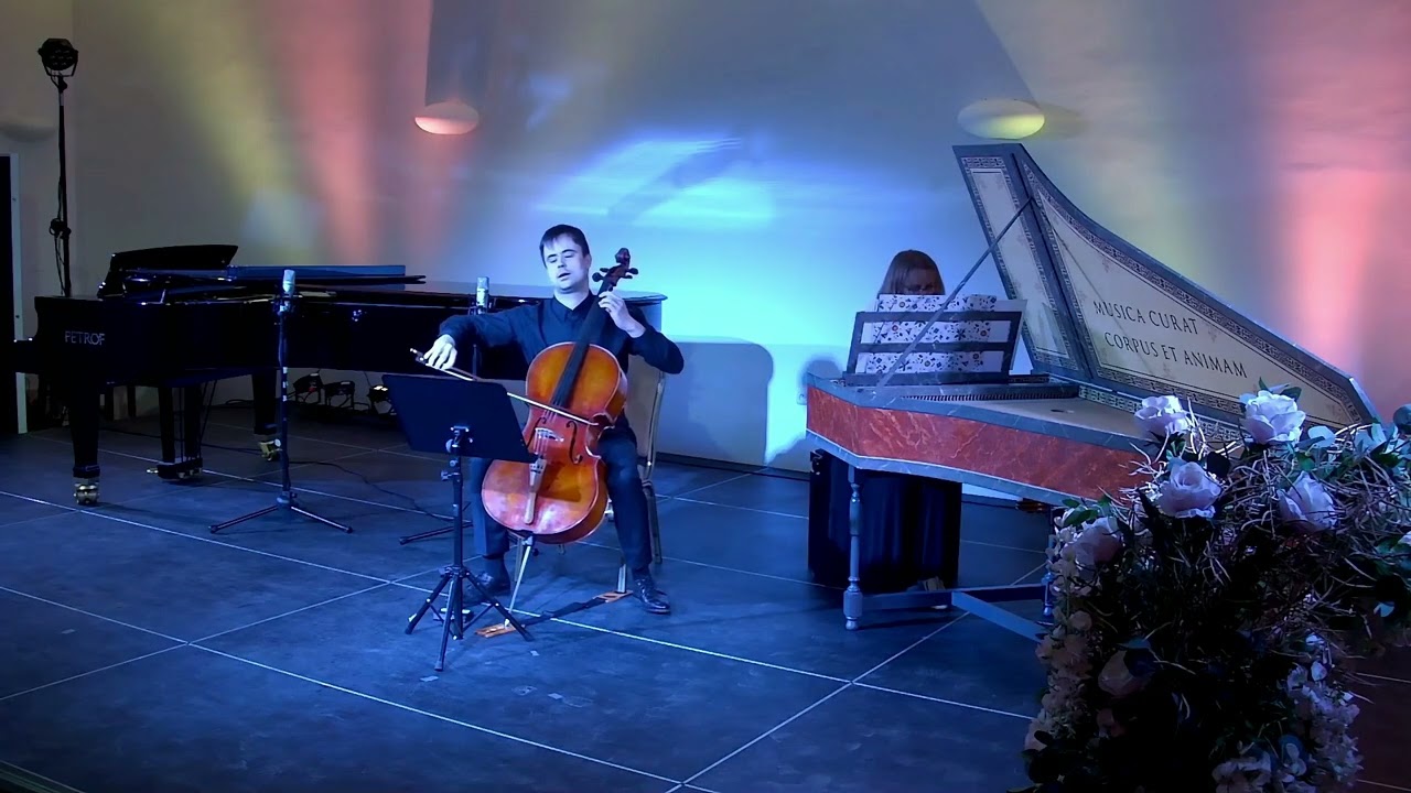 Koncert pedagogů Základních uměleckých škol Moravskoslezského kraje 2025