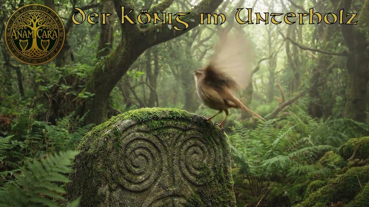 Anam Cara - Der König im Unterholz