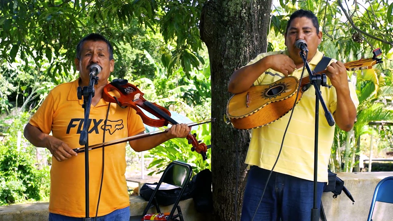 Corridos con violín - Corrido de Gilberto García - Domi y los 3 de Michoacán