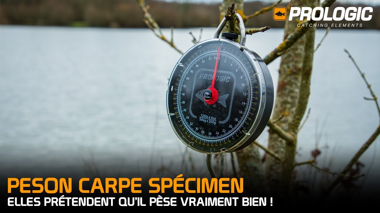 Peson carpe Spécimen de Prologic