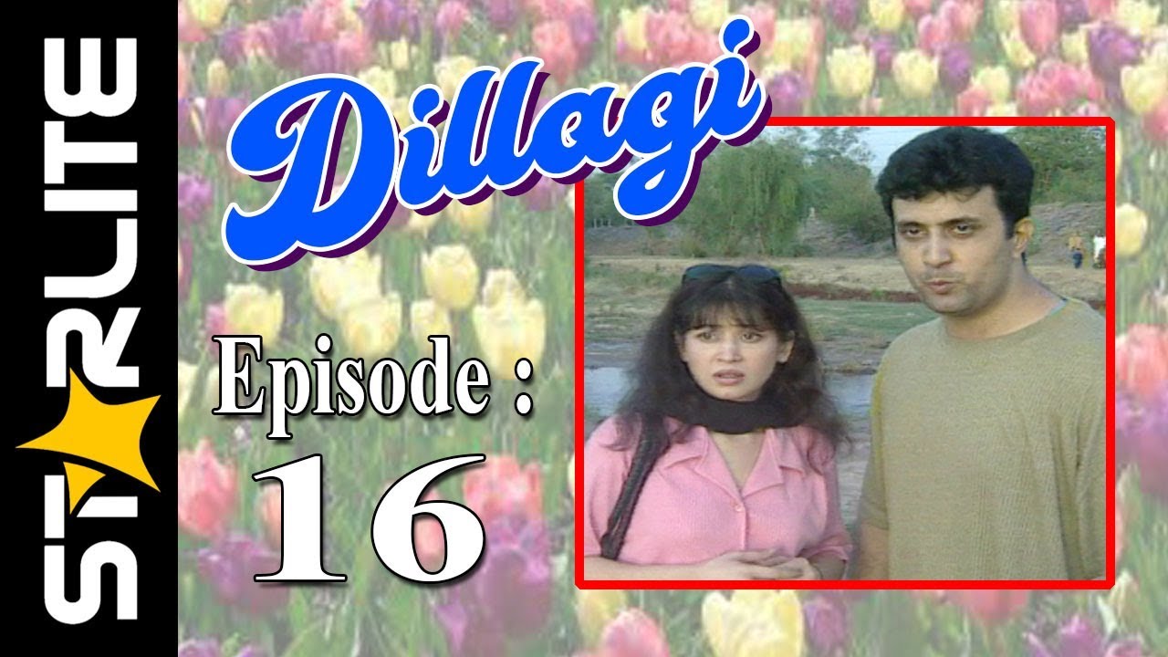 Dillagi, Episode 16, Top Pakistani Drama, URDU Comedy, Drama Serial Kashif Mehmood, Naseem Vicky