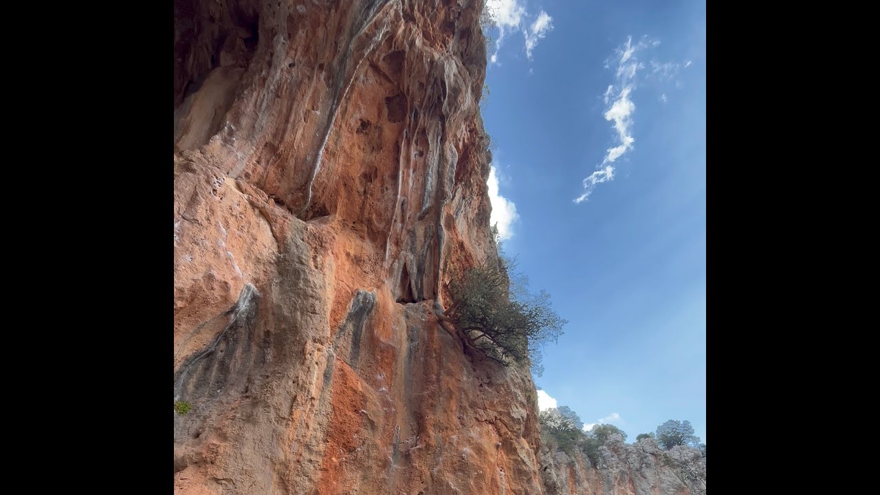 Climbing 
