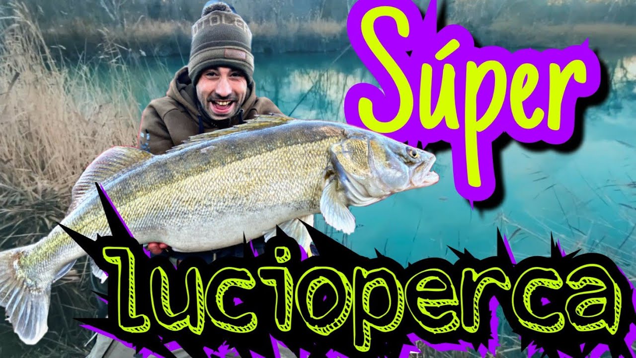 pesca de Luciopercas 2021 Aranjuez 1-01-2021
